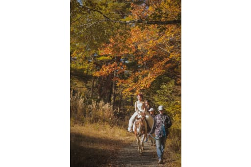 乗馬初めてでも安心。