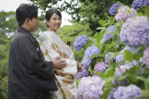 紫陽花が満開の時期