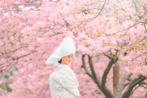 綿帽子