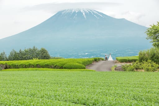 茶畑と富士山ロケーション