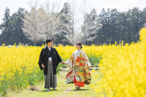 一面鮮やかな黄金色