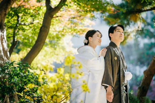 紅葉だけじゃない！ずっと変わらない緑
