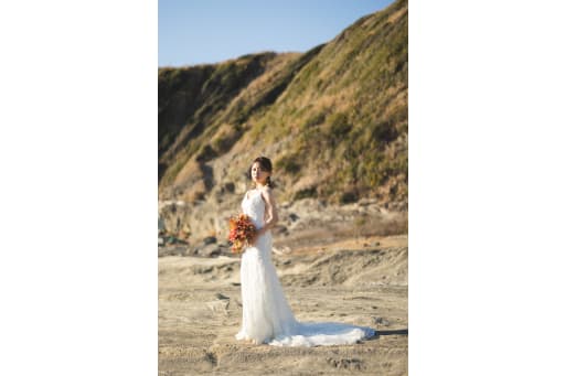 あかん。感謝したい美しさ。