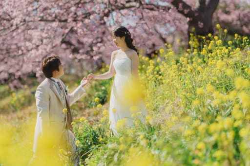 菜の花もたくさん咲いています