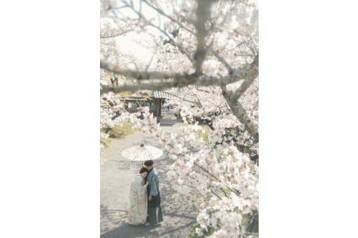高低差を生かし、お二人と桜の距離を近づけました