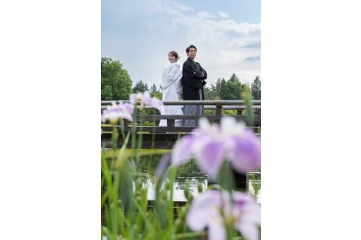 日本庭園エリアでは菖蒲の花が綺麗に咲いておりました！