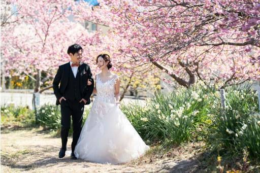 河津桜が咲く季節になってきました＾＾