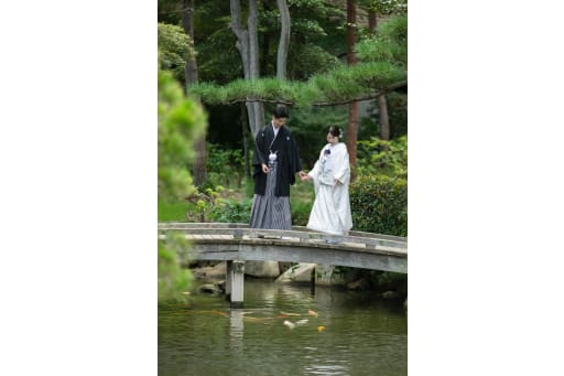 緑に包まれ鯉を眺めながら