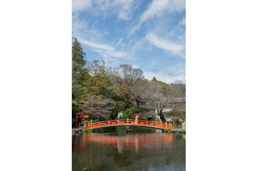 富士山の湧水の流れる美しい橋で