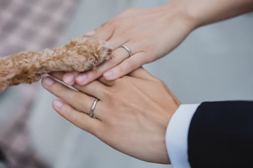 愛犬と手元ショット