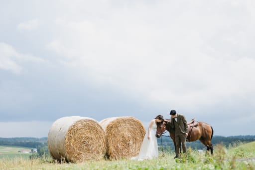 癒し空間。ありがとうございます。