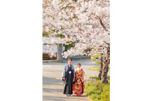 桜並木を歩く、ふたりの足跡