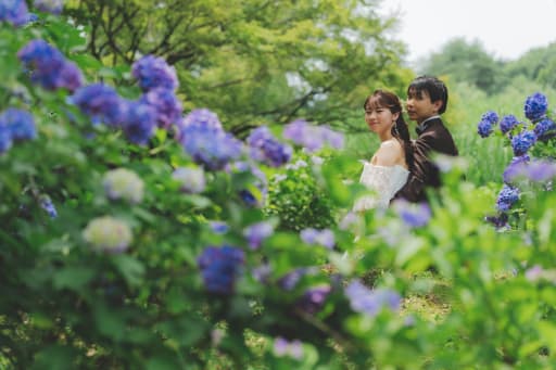 紫陽花と新緑3