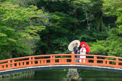 神社の緑も綺麗