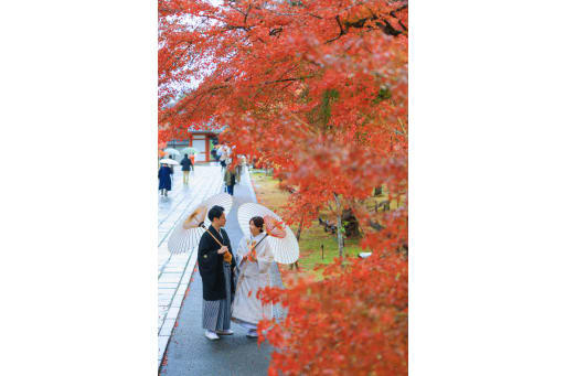 色鮮やかに満開の紅葉の下で