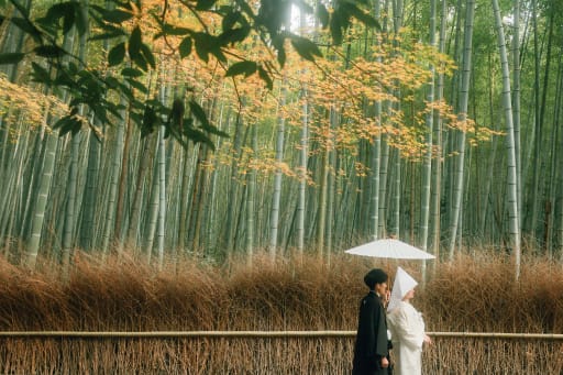 これぞ嵐山を象徴する竹林でのシーン