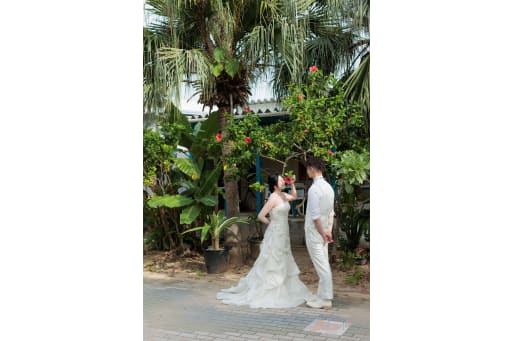 沖縄ならではの植物も