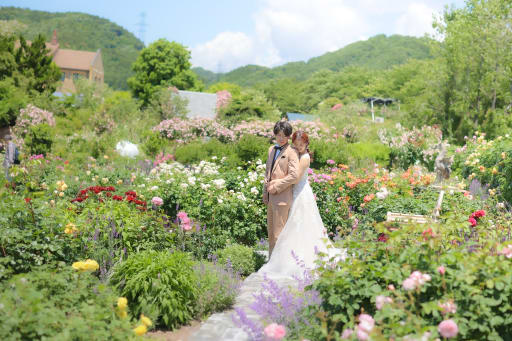 辺りにある山々も庭園の雰囲気と調和しているのでより壮大なスケール感で撮影することができます。