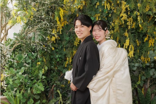 ミモザの背景と