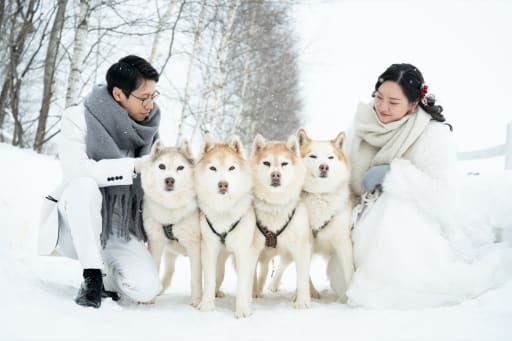 一瞬一瞬が特別な一枚に