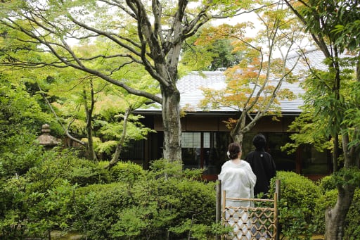 お庭からお茶室へ向かう道のりに早くも色付いている紅葉が！まるで秋口のような優しい色合いの１枚になりました。