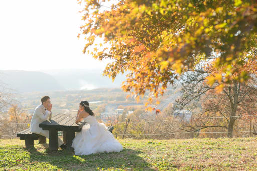 大自然のなかで