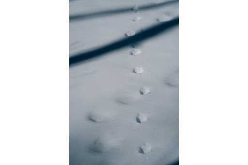 アクセントに風景写真を入れるのもオススメ