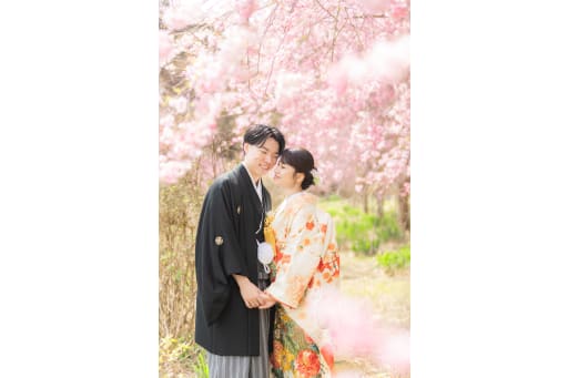 柔らかい光と色合いで