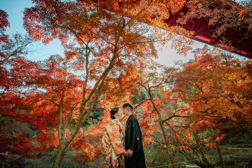 見頃は例年11月下旬〜12月上旬！