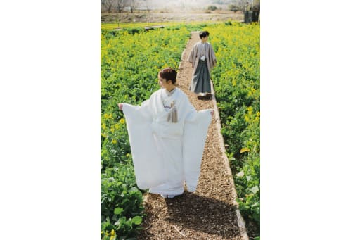 たくさんの菜の花たちと