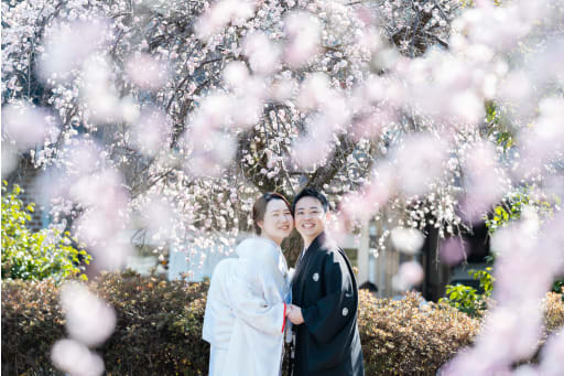 梅の花