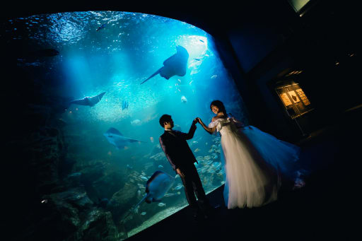 一生一回の水族館思い出