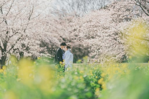 桜と菜の花