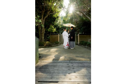 太陽に照らされて