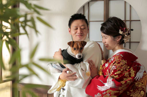 怯えずに抱っこして撮影できました。元気よく飛び出しそうなくらいでした。