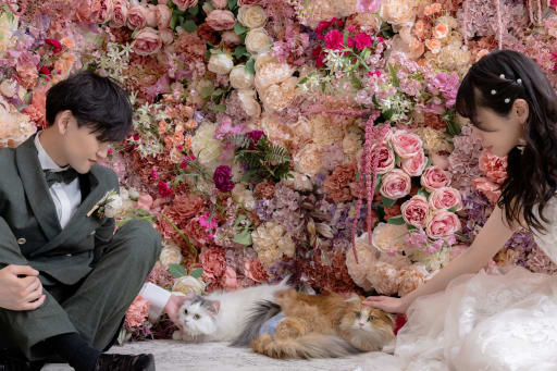 なでなでタイム