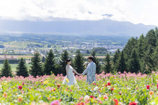 お花畑と雄大な土地、そびえる十勝岳連邦、、、圧巻です。