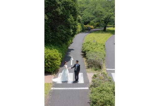 道の上で向かい合うダイナミックなアングル