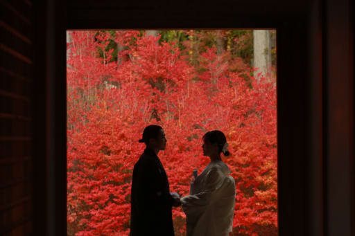 紅葉の名所として、話題の野見山観音寺に行ってきました。インパクト抜群のこちらのお写真🍁