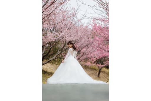 桜とご新婦さま