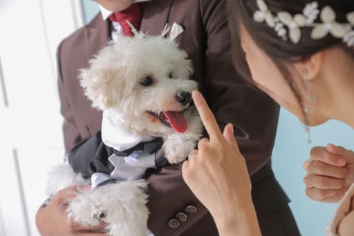 おはな