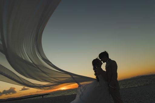 ベールを使ったロマンチックな一枚