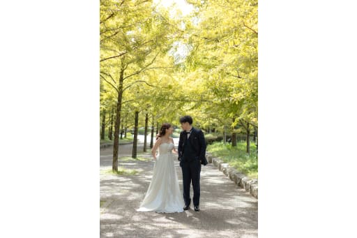 柔らかい光が可愛い