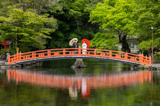 池は緑も鮮やかで綺麗