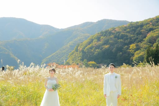 ９月頃からススキの時期です