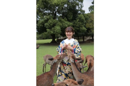 鹿さんに囲まれて...