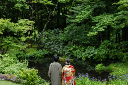 池の周りには菖蒲