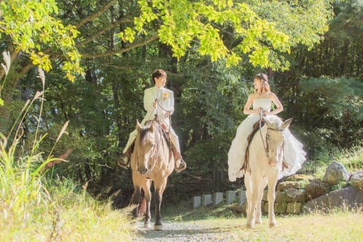 森もとても綺麗