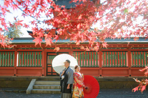 12月も紅葉が綺麗に撮影可能です