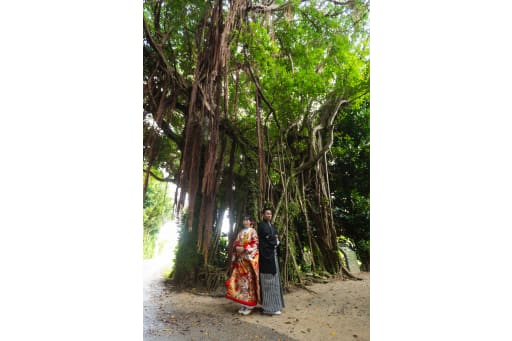 カジュマルの木